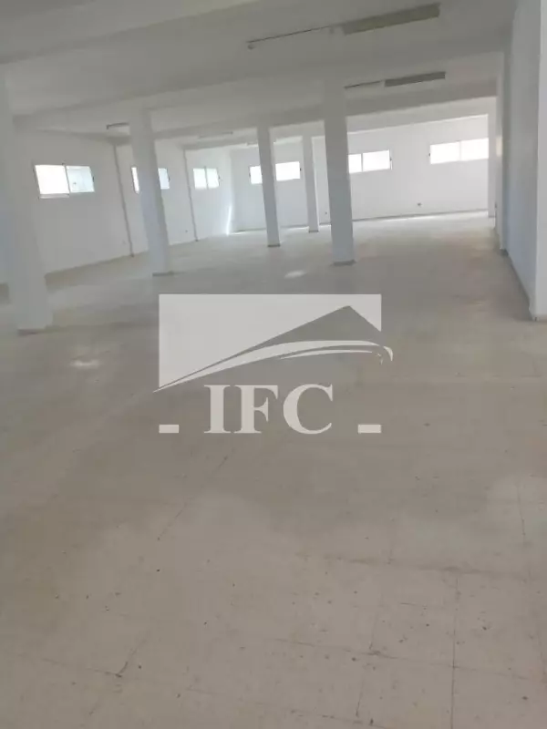 IFC IMMO