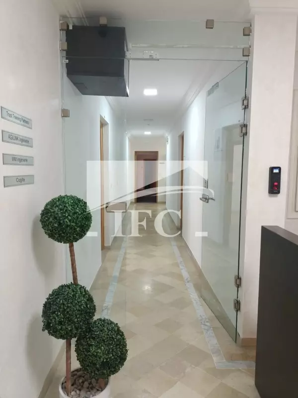 IFC IMMO