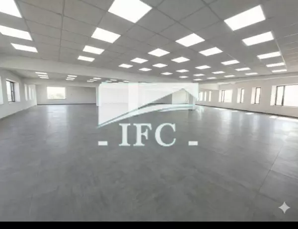 IFC IMMO